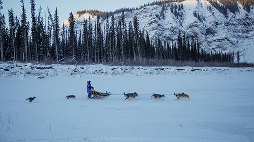 Life Below Zero 11