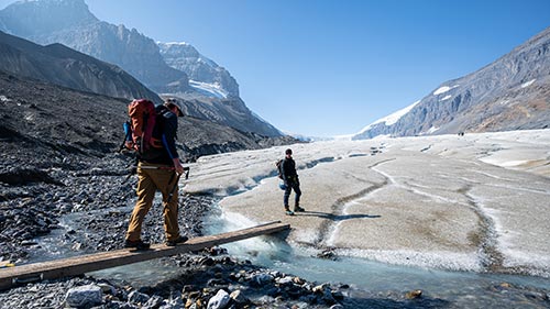 Fiennes: Return to the Wild