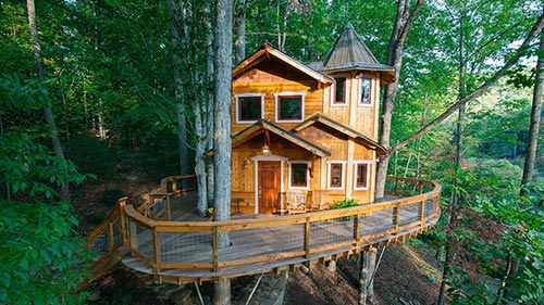 The Treehouse Guys