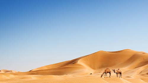 Arabian Inferno