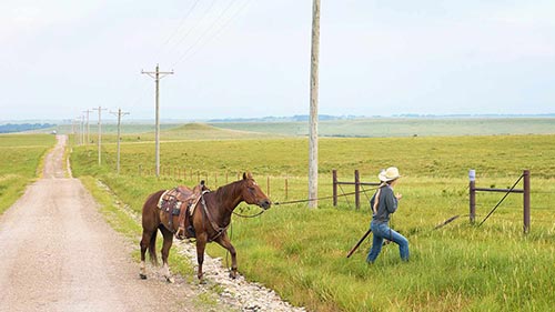 The Pioneer Woman 37