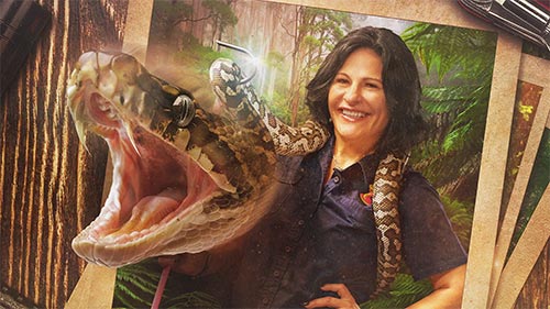 Snake Catcher: Down Under