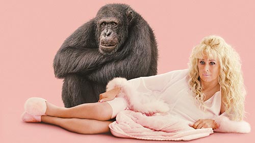 Chimp Crazy