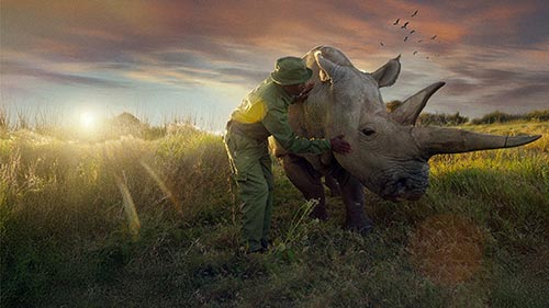 The Last Rhinos: A New Hope