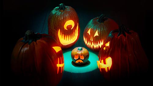 Outrageous Pumpkins 5