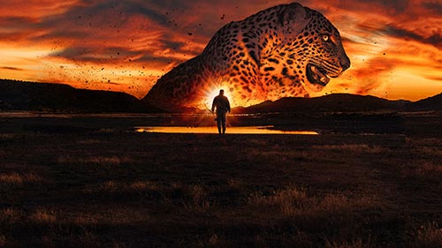 Alone 12: South Africa