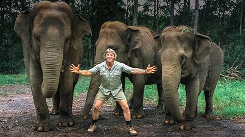 The Steve Irwin Story