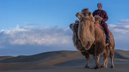 Gordon Buchanan: My Epic Camel Adventure