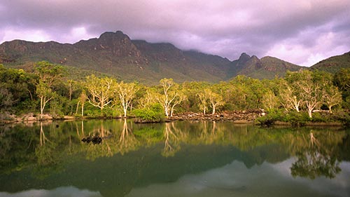 Australia's Wild Woodlands