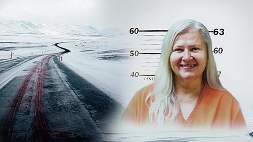 I am Not a Monster: The Lois Riess Murders