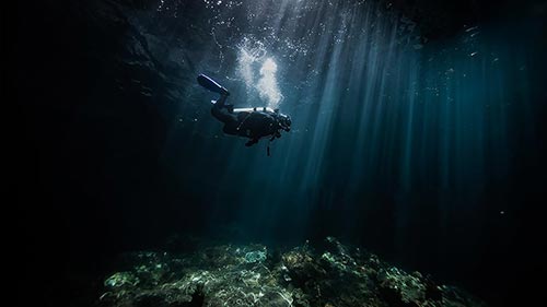 Gold Divers 13