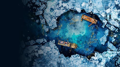 Gold Divers 7
