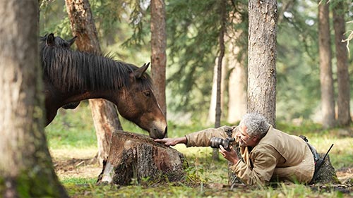 Wild Horses, the Rockies and Me