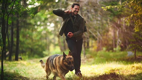 Hudson & Rex 8