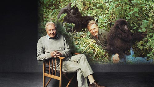 Making Life on Earth: Attenborough's Greatest Adventure