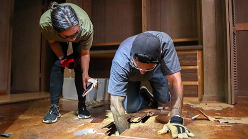 Renovation Aloha 3