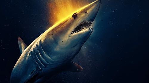 Biggest Mako on Earth