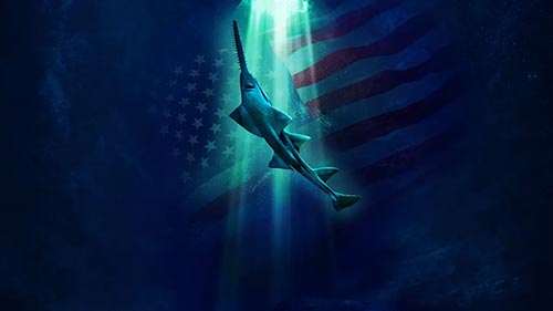 Alien Sharks: Untamed America